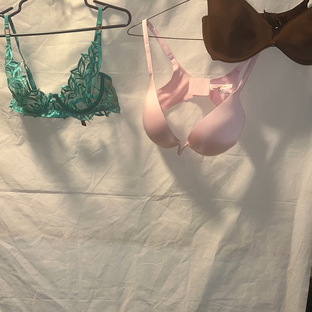 Elegant Teal and Pink Lace Bras